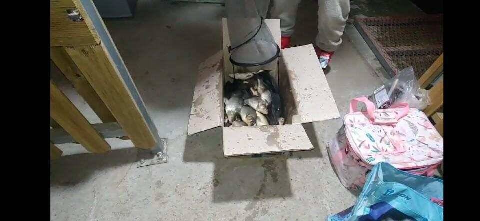 양평 힐링 수곡낚시터 연휴 조황 및 붕어 방류 안내 (유료터정보 - 유료터점주조황)