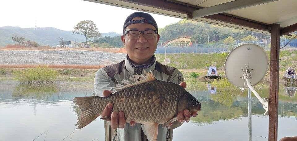 아산 안골지 아직은 수초낚시 가능합니다 (유료터정보 - 유료터점주조황)