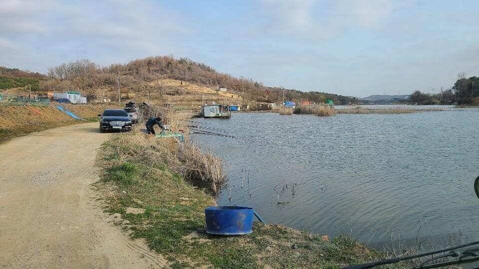 가교리 낚시터 3월 23일 조황입니다 (유료터정보 - 유료터점주조황)
