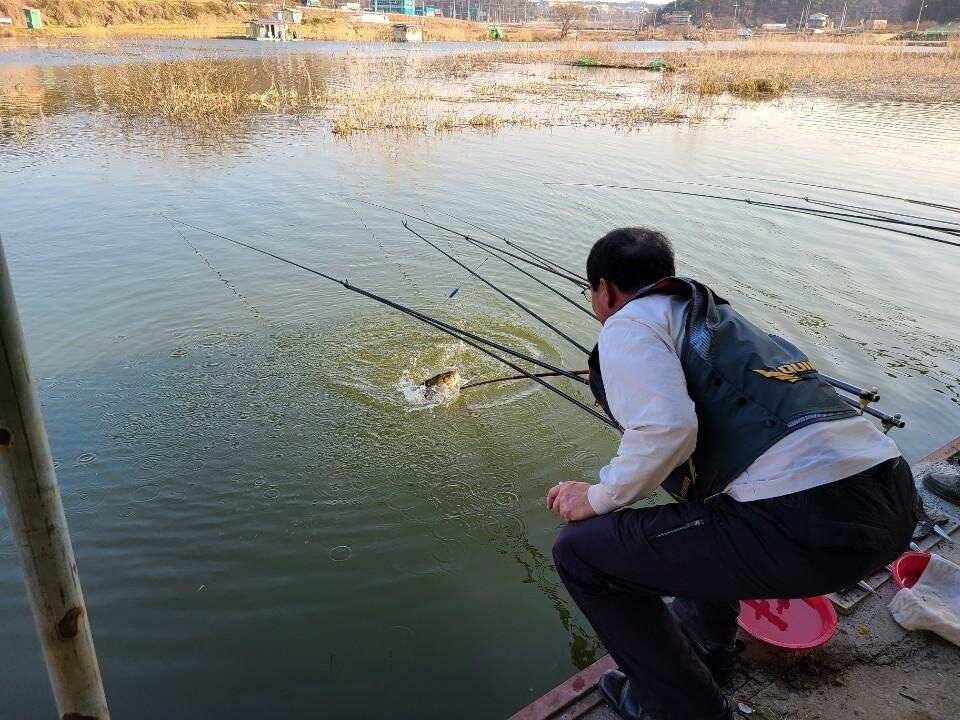 당진 가교리 낚시터 3월 30일 조황입니다 (유료터정보 - 유료터점주조황)