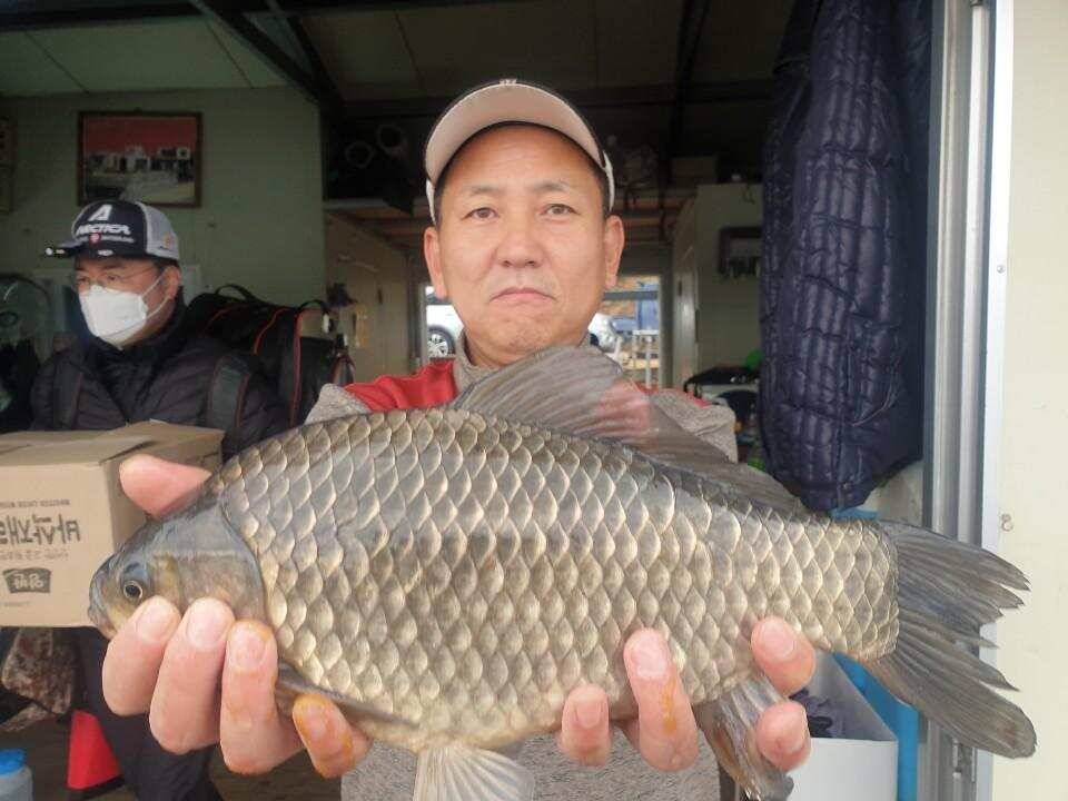 고삼지 사짜붕어에 덩어리 붕어 속출 (유료터정보 - 유료터점주조황)