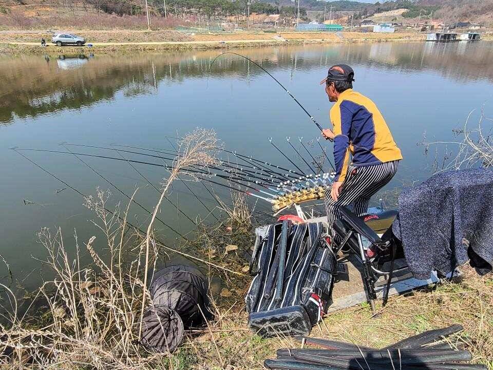 당진 가교리 낚시터 3월 30일 조황입니다 (유료터정보 - 유료터점주조황)