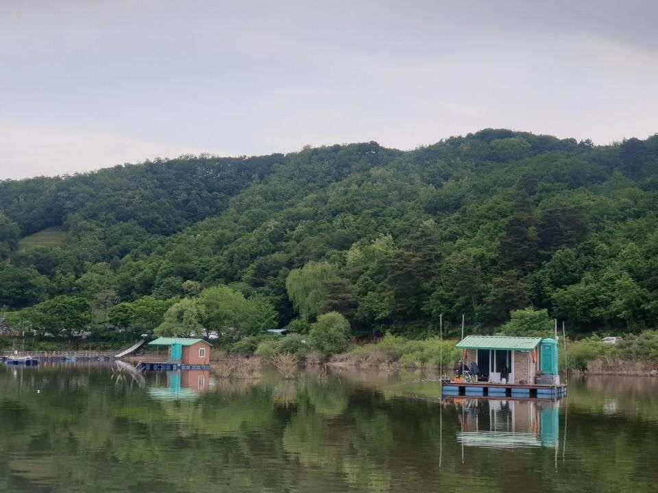 고삼지 배수안정권에 사짜붕어 조황입니다 (유료터정보 - 유료터점주조황)