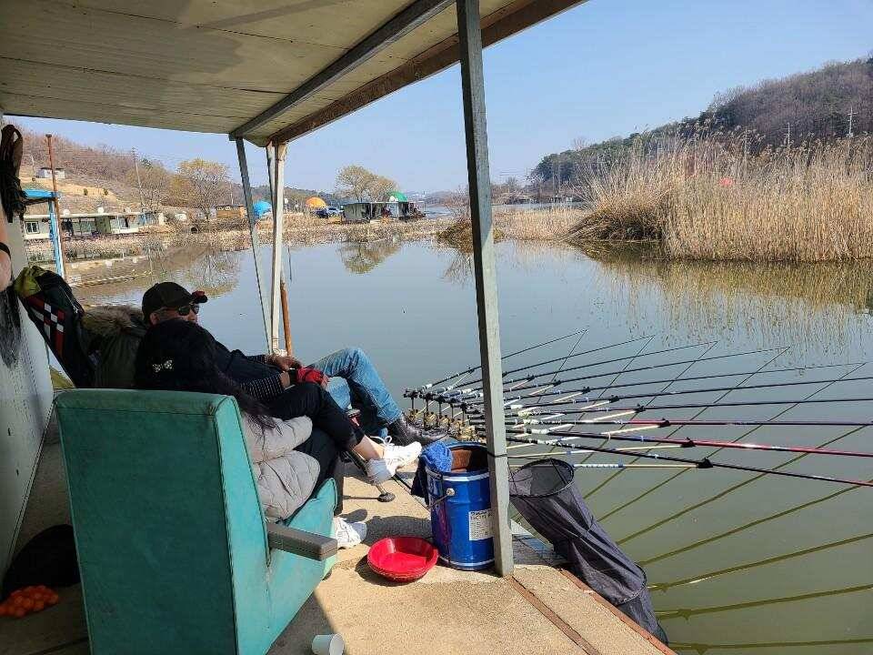 당진 가교리 낚시터 3월 30일 조황입니다 (유료터정보 - 유료터점주조황)