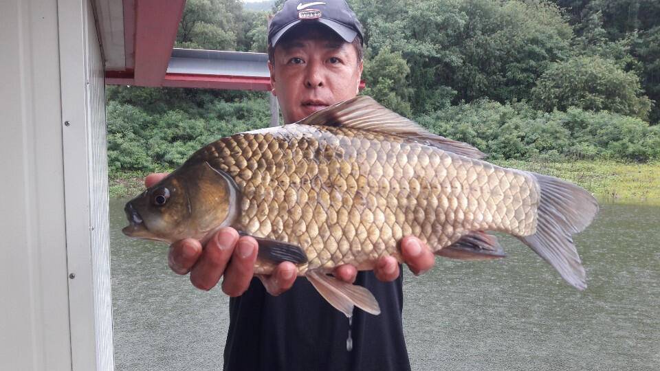 송전지 창신집 조황정보 대박 조짐 (유료터정보 - 유료터점주조황)