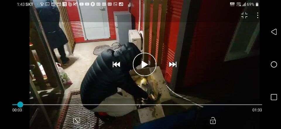 양평 힐링 수곡낚시터 연휴 조황 및 붕어 방류 안내 (유료터정보 - 유료터점주조황)