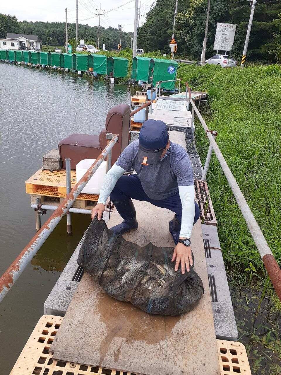 경주 동산낚시터붕어 전용 잡이터 지난주 조황 (유료터정보 - 유료터점주조황)