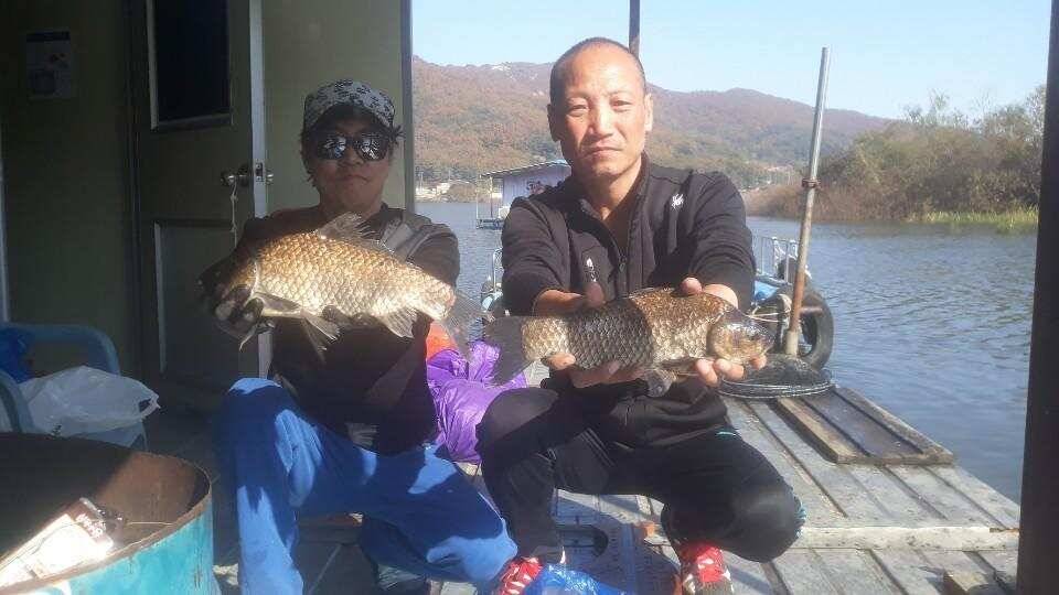 아산 안골지 대물 48입니다 (유료터정보 - 유료터점주조황)