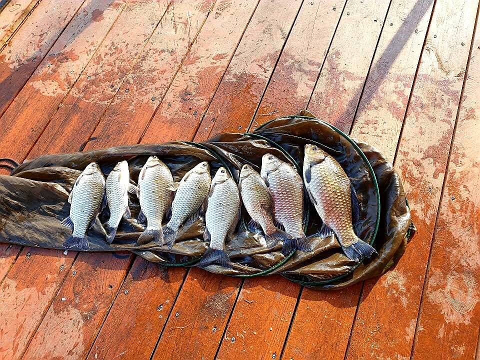 힘들다고요 바람아 멈추다오 (유료터정보 - 유료터점주조황)