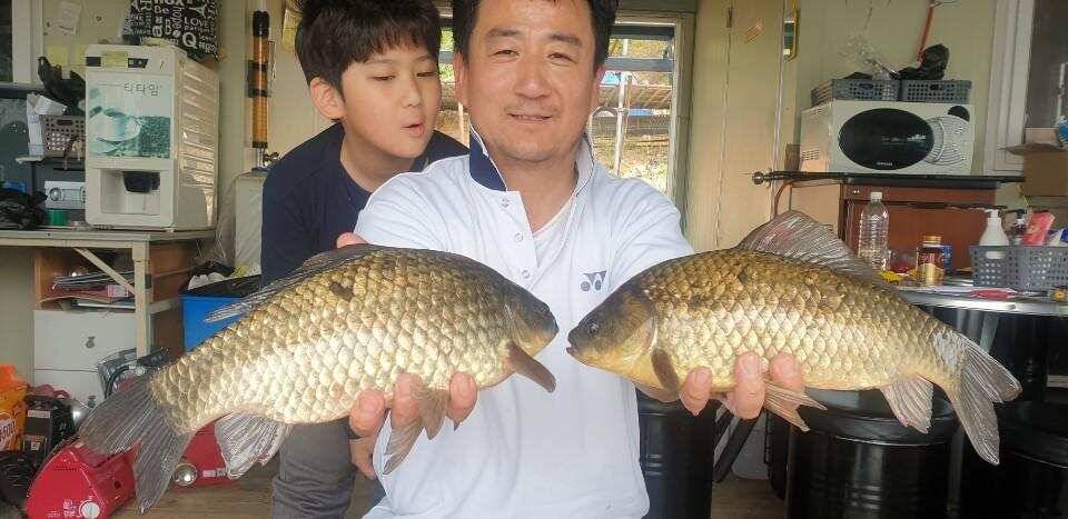 고삼지 상류권 마리수 조황입니다 (유료터정보 - 유료터점주조황)