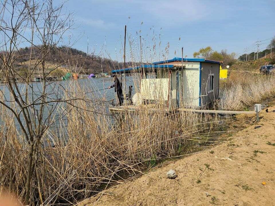 당진 가교리 낚시터 4월 7일 조황입니다 (유료터정보 - 유료터점주조황)
