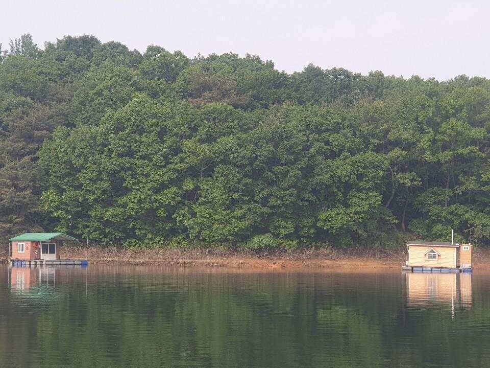 고삼지 양촌좌대 중류권 사짜붕어 소식입니다 (유료터정보 - 유료터점주조황)