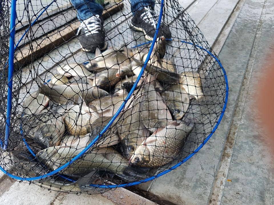 아산 안골지 조황정보 입니다 (유료터정보 - 유료터점주조황)