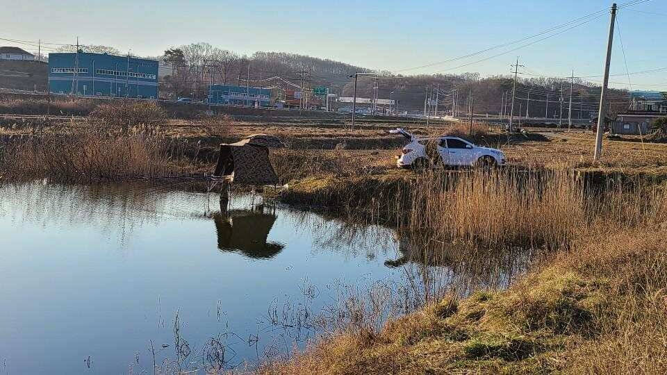 당진 가교리 낚시터 3월 25일 조황입니다 (유료터정보 - 유료터점주조황)