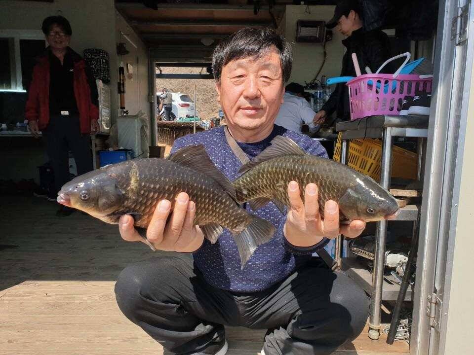 고삼지 황금포인트 상류권 사짜조황 (유료터정보 - 유료터점주조황)