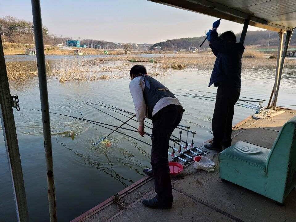 당진 가교리 낚시터 3월 30일 조황입니다 (유료터정보 - 유료터점주조황)