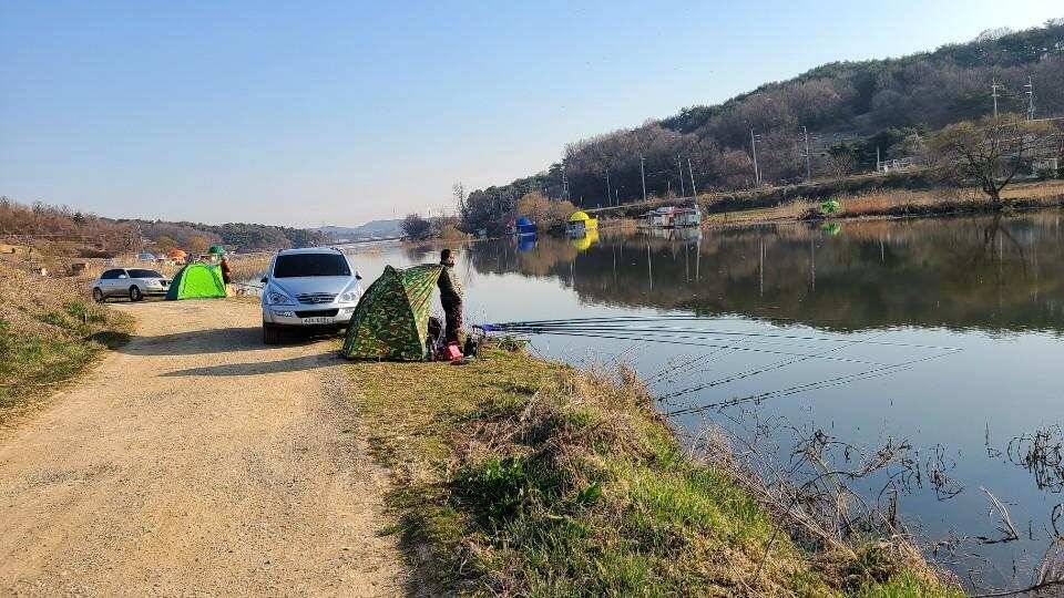 당진 가교리 낚시터 3월 25일 조황입니다 (유료터정보 - 유료터점주조황)