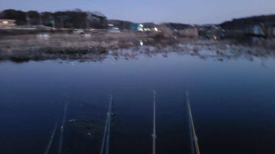 가교리 낚시터 3월 23일 조황입니다 (유료터정보 - 유료터점주조황)