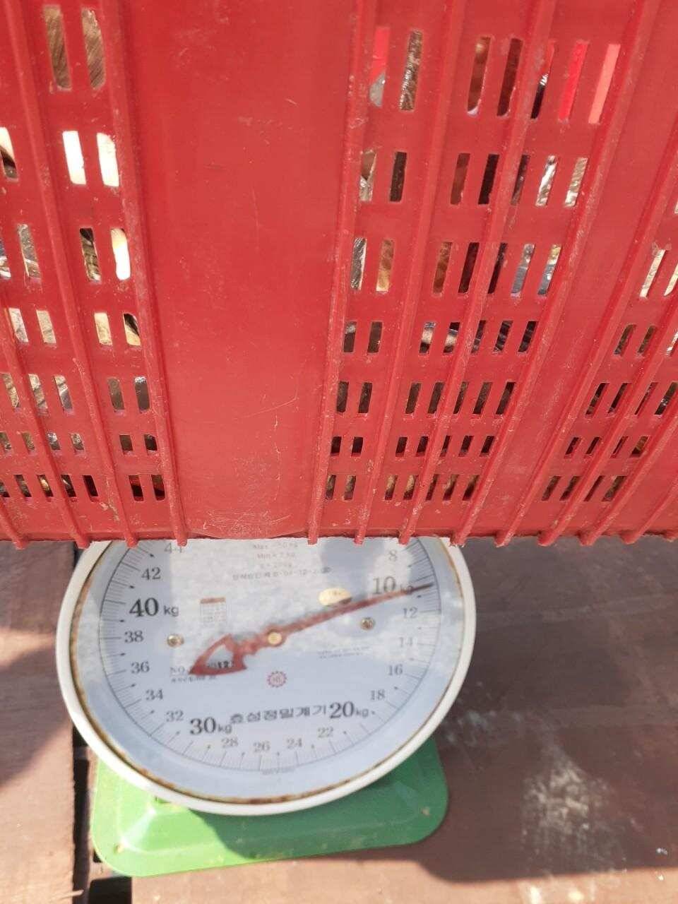 경주 동산낚시터붕어 전용잡이터지난주 조황 (유료터정보 - 유료터점주조황)