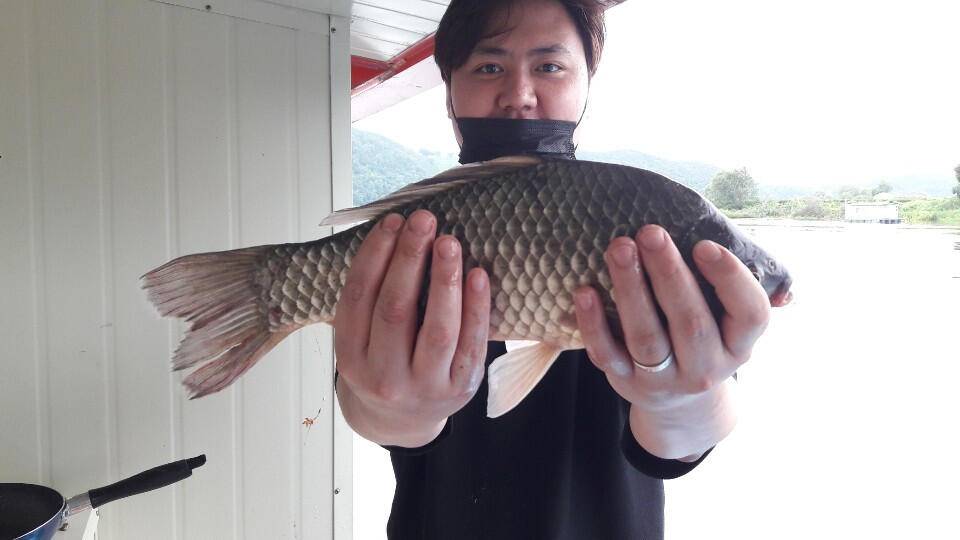 송전지 창신집 조황정보 오름수위 특수 (유료터정보 - 유료터점주조황)