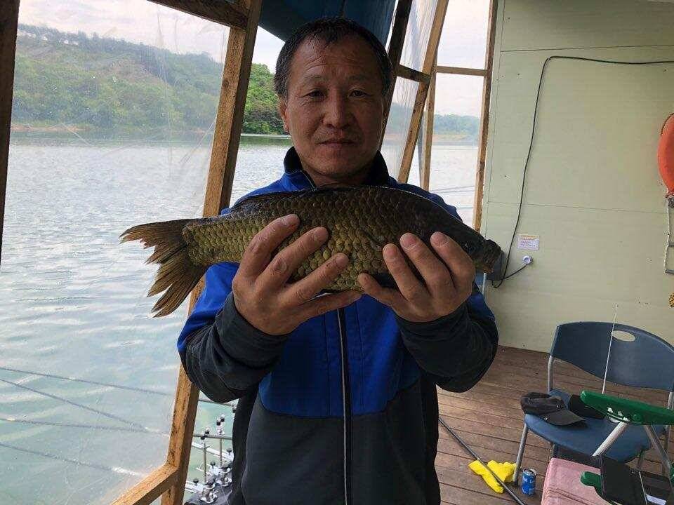 양평낚시터 수곡낚시터 주중조황 고른편이나 편차는 있네요 (유료터정보 - 유료터점주조황)