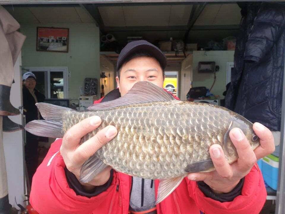 고삼지 상류권 최상포인트 독점 양촌좌대 (유료터정보 - 유료터점주조황)