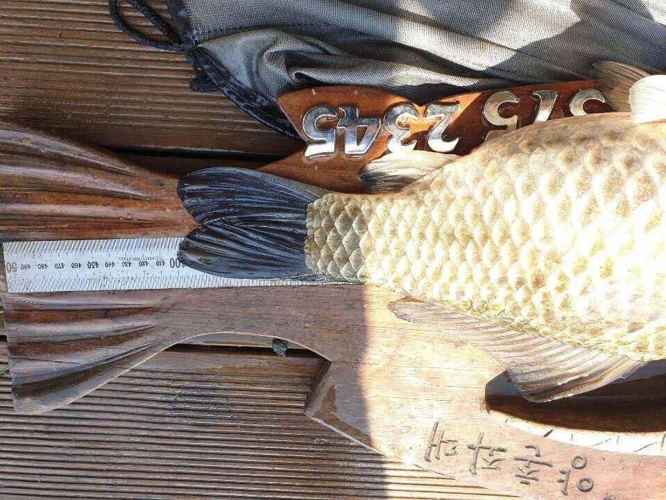 고삼지 황금포인트 상류권 사짜조황 (유료터정보 - 유료터점주조황)