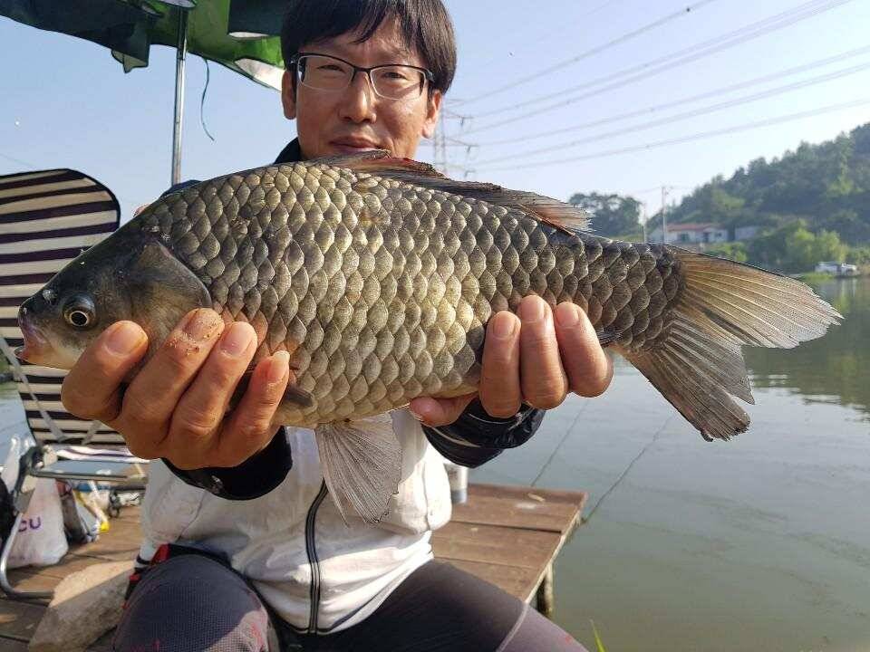 ◎주말 무료이용권 11장 대물잔치◎ (유료터정보 - 유료터점주조황)