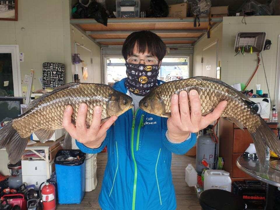 고삼지 사짜붕어에 덩어리 붕어 속출 (유료터정보 - 유료터점주조황)