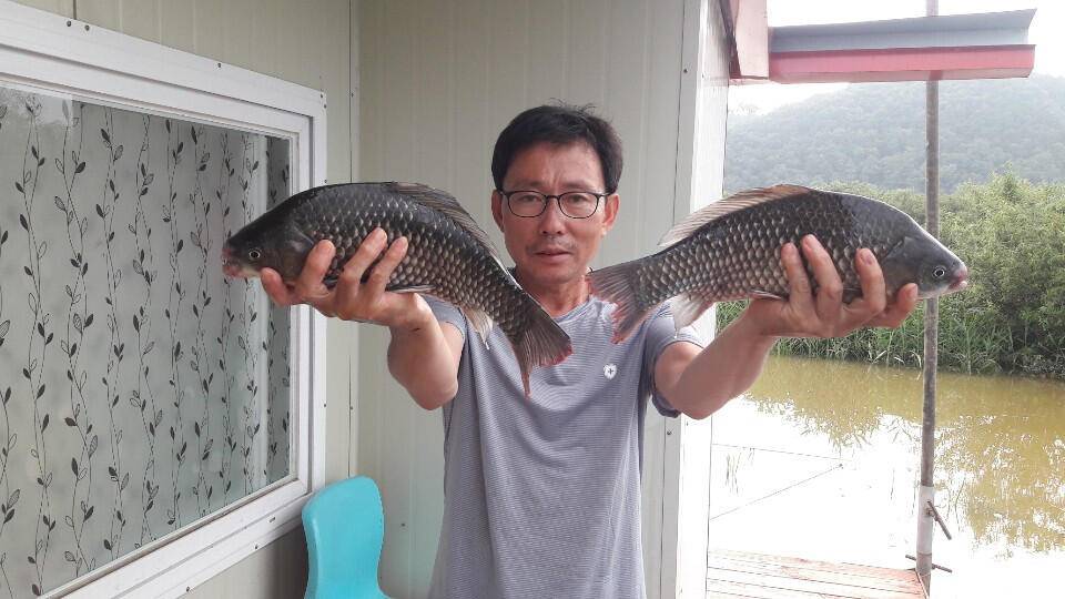 송전지 창신집 조황정보 (유료터정보 - 유료터점주조황)