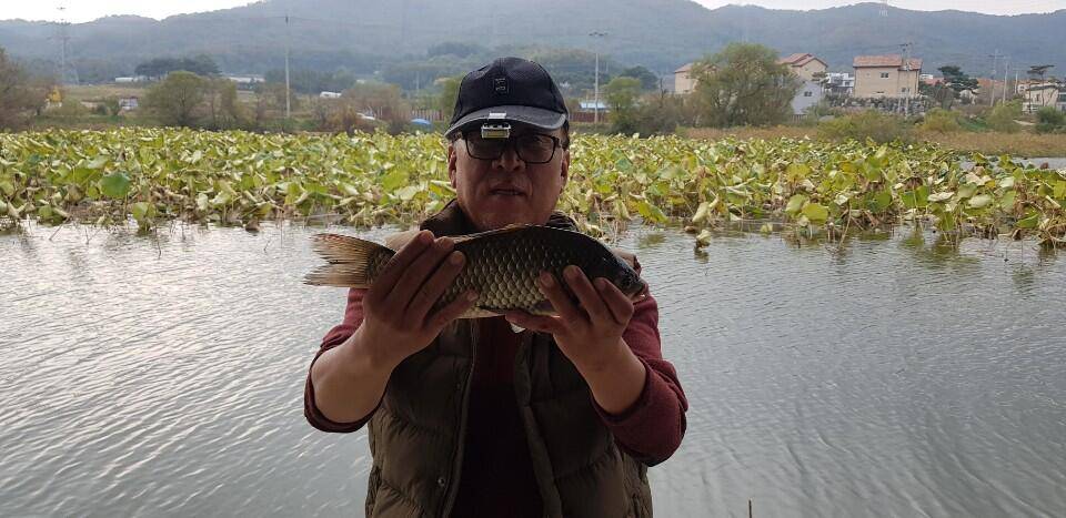 아산 안골지 조황정보 입니다 (유료터정보 - 유료터점주조황)