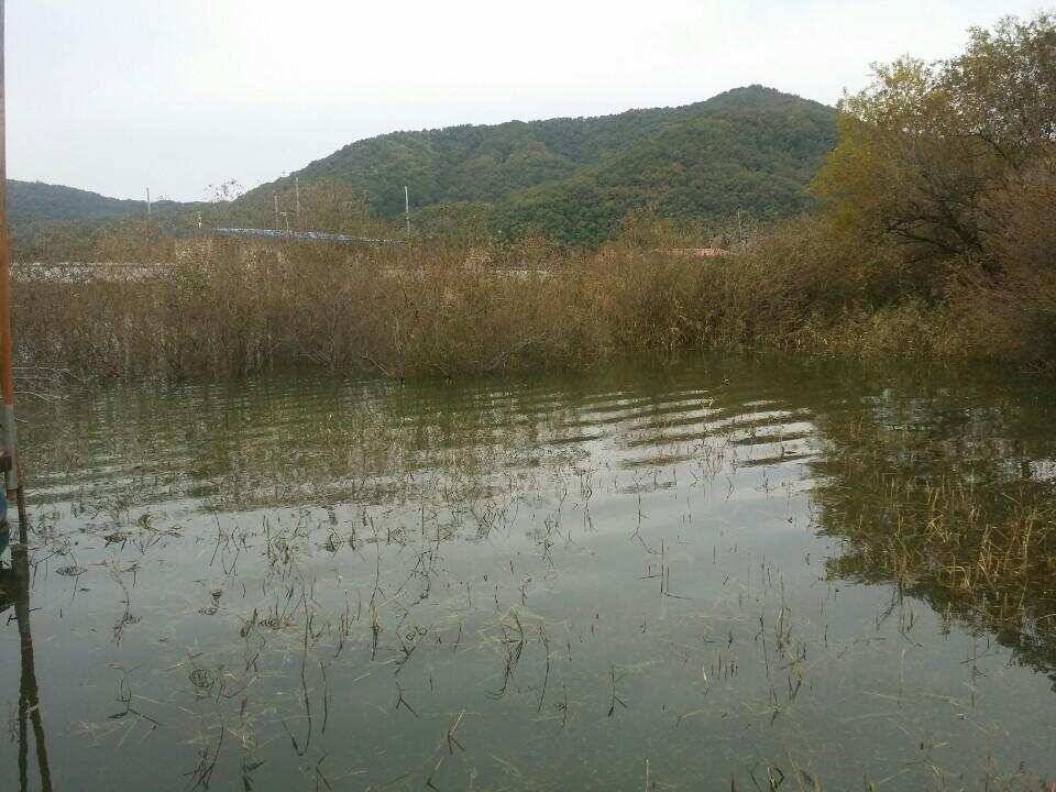 송전지서울좌대10월23일조황 (유료터정보 - 유료터점주조황)