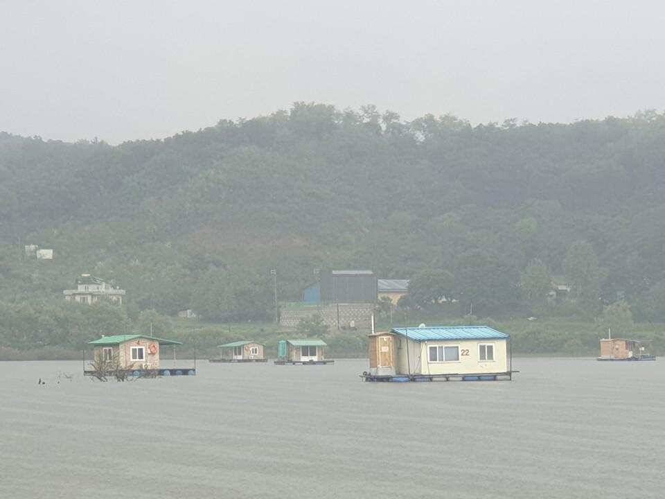고삼지 배수 안정권 조황입니다 (유료터정보 - 유료터점주조황)