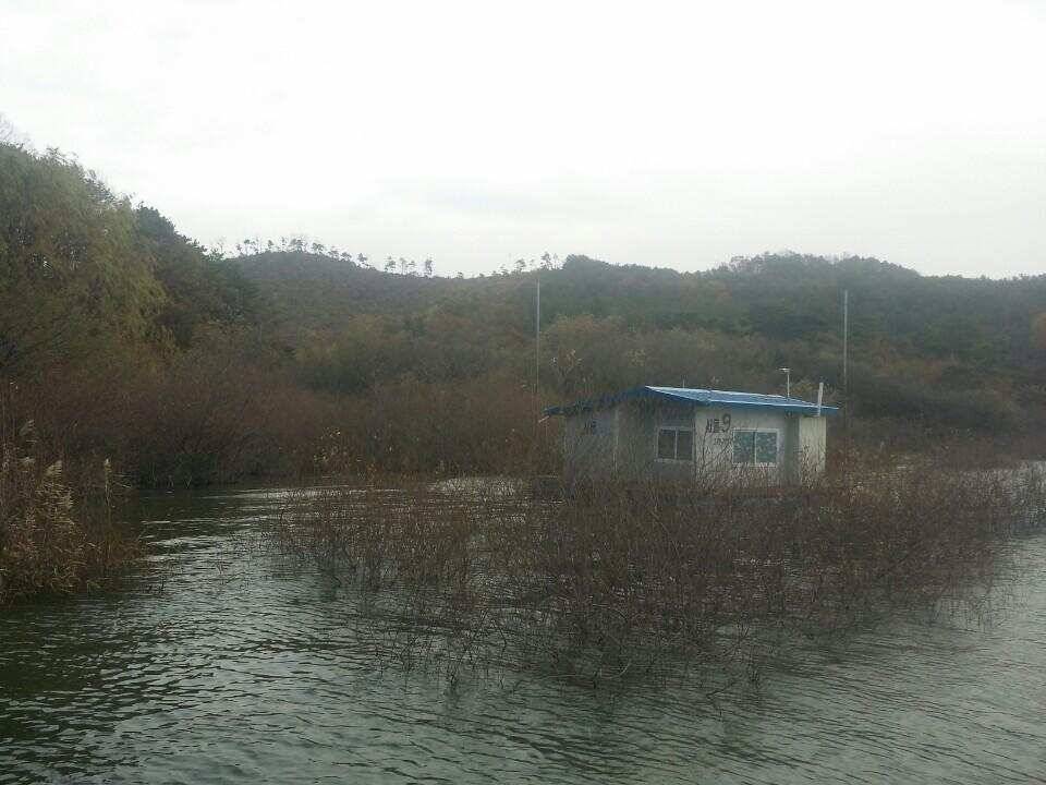 송전지서울좌대11월21일조황 (유료터정보 - 유료터점주조황)