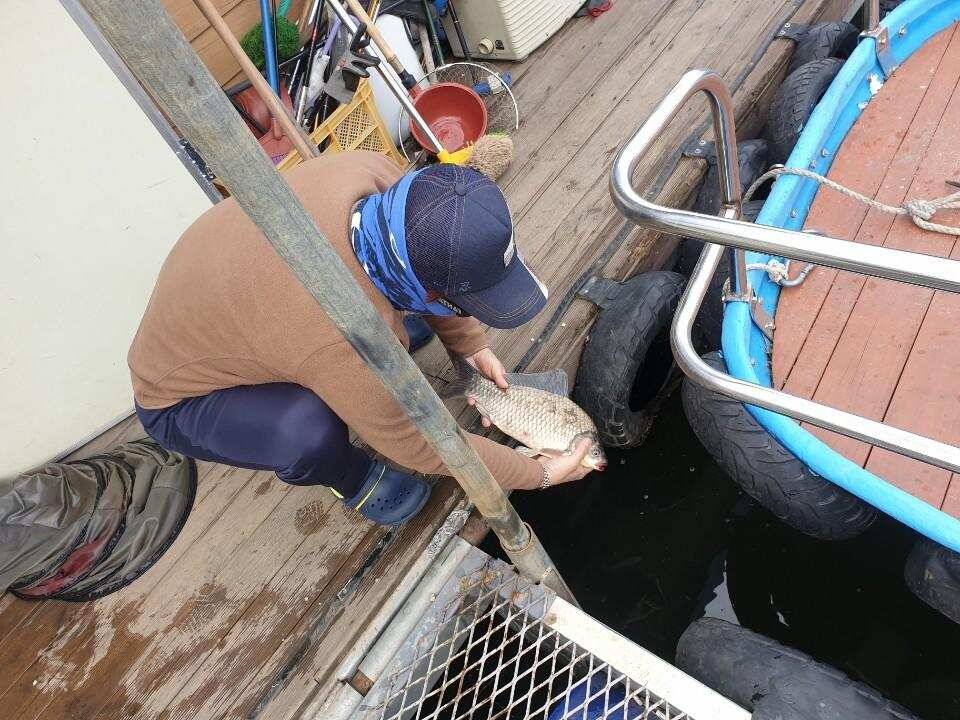고삼지 배수안정권에 사짜붕어 조황입니다 (유료터정보 - 유료터점주조황)