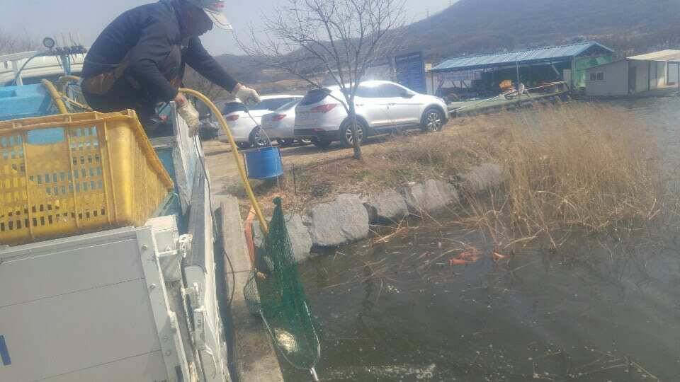 아산 안골지 조황정보입니다 (유료터정보 - 유료터점주조황)