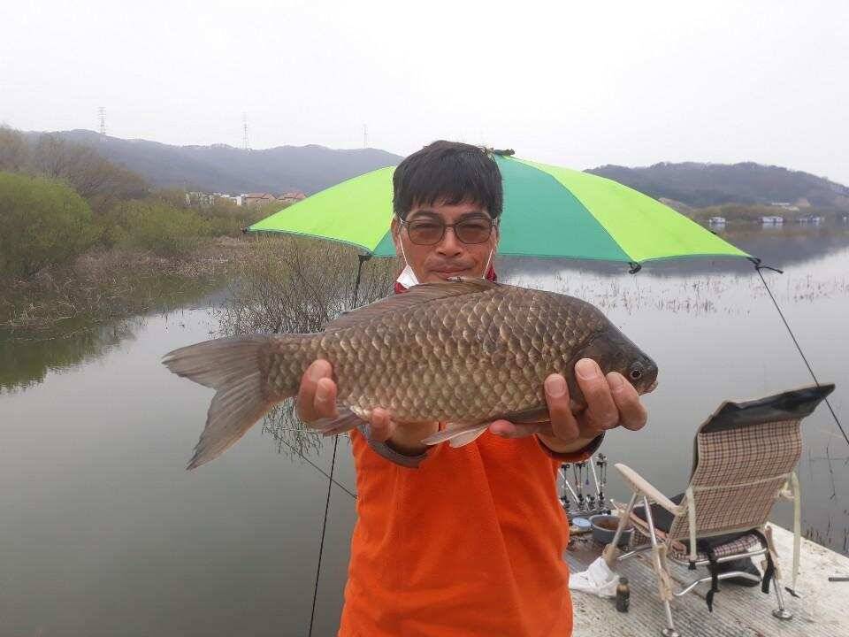아산 안골지 4짜 소식입니다 (유료터정보 - 유료터점주조황)
