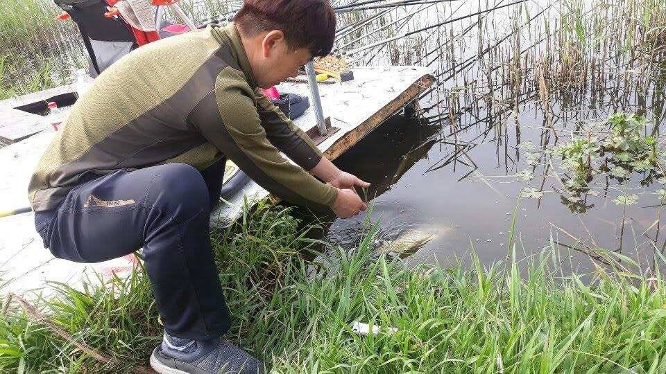 아산 안골지 4짜 소식 연속입니다 (유료터정보 - 유료터점주조황)