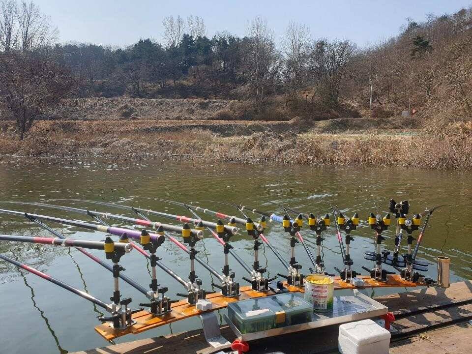 고삼지 양촌좌대 지렁이에 멋진붕어 (유료터정보 - 유료터점주조황)