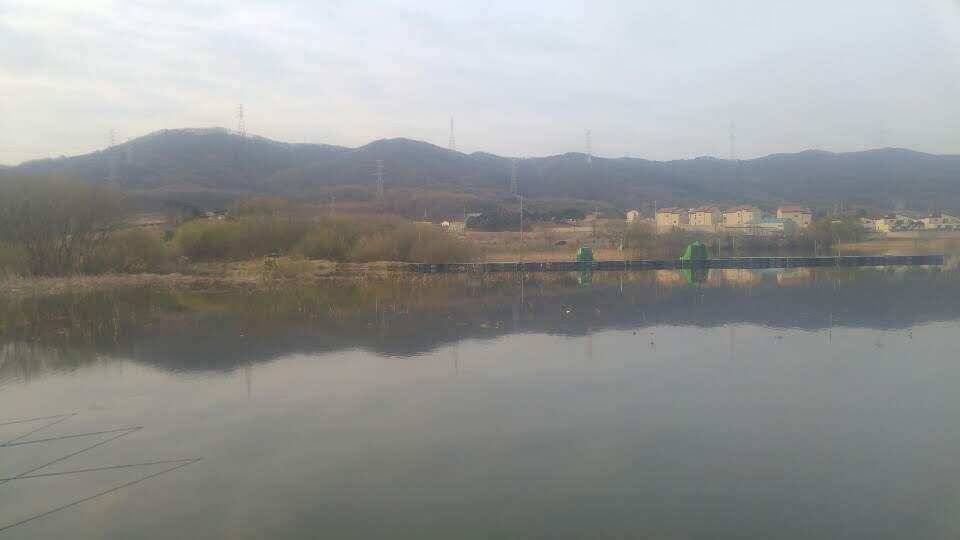 아산 안골지의 맑고 힘찬 붕어입니다 (유료터정보 - 유료터점주조황)