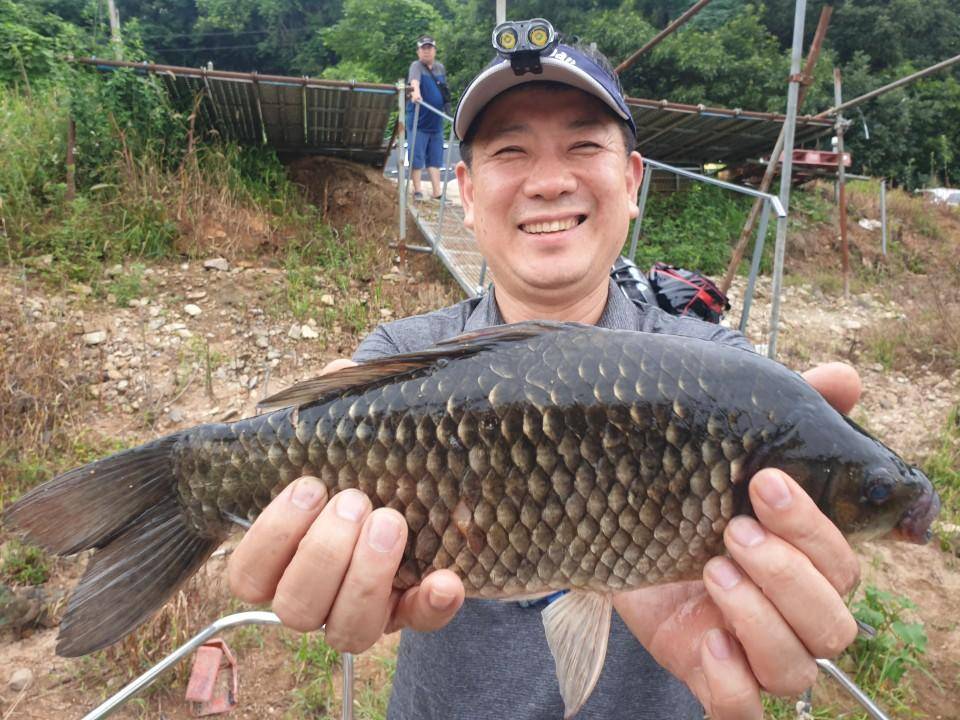 고삼지 연일 사짜붕어 상면중 (유료터정보 - 유료터점주조황)
