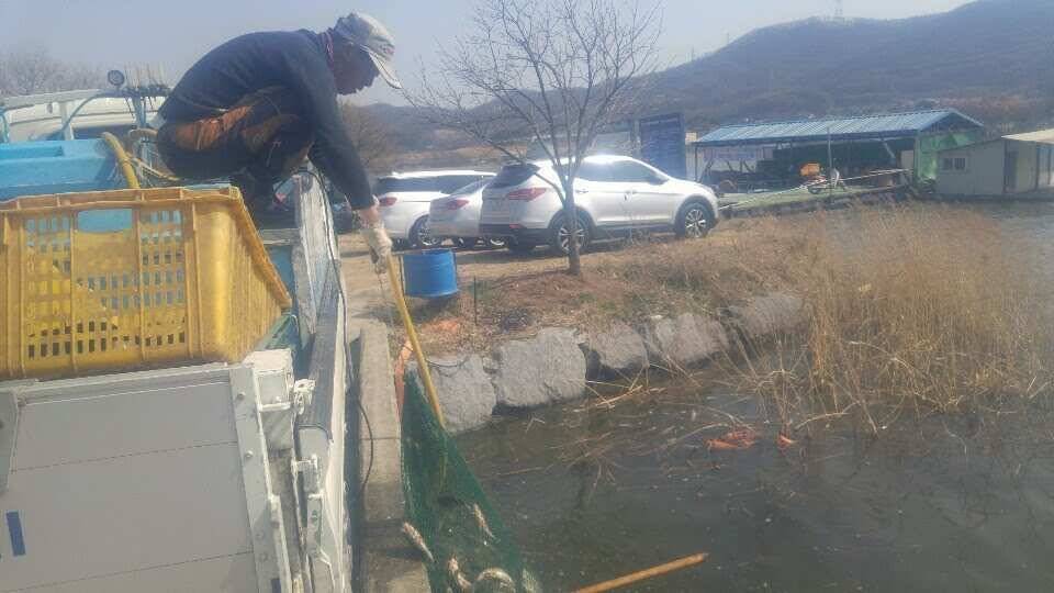 아산 안골지 조황정보입니다 (유료터정보 - 유료터점주조황)