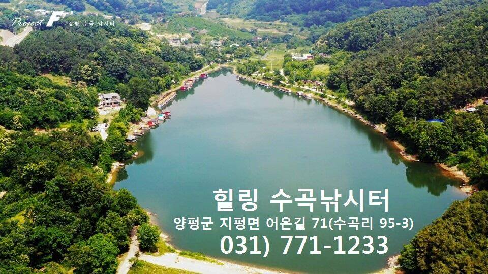 멋진풍광속 힐링 수곡낚시터 월화 주초 조황 및 붕어 방류 안내 (유료터정보 - 유료터점주조황)