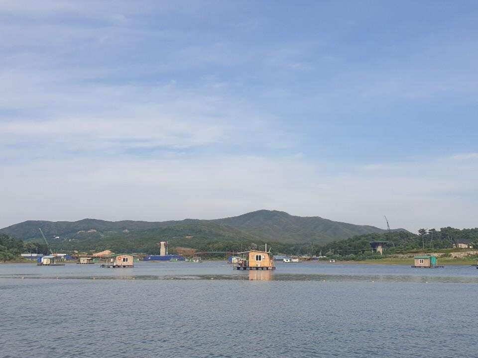 고삼지 덩어리 마리수 조황입니다 (유료터정보 - 유료터점주조황)