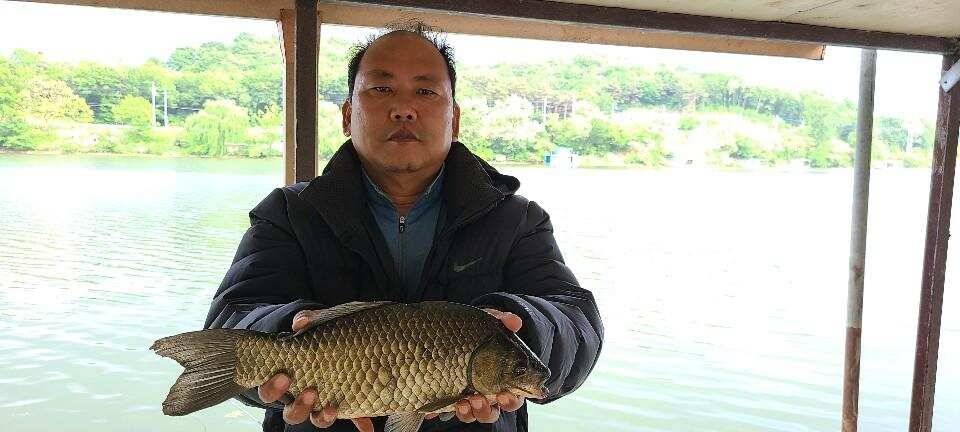 당진 가교리 낚시터 5월 27일 조황입니다 (유료터정보 - 유료터점주조황)