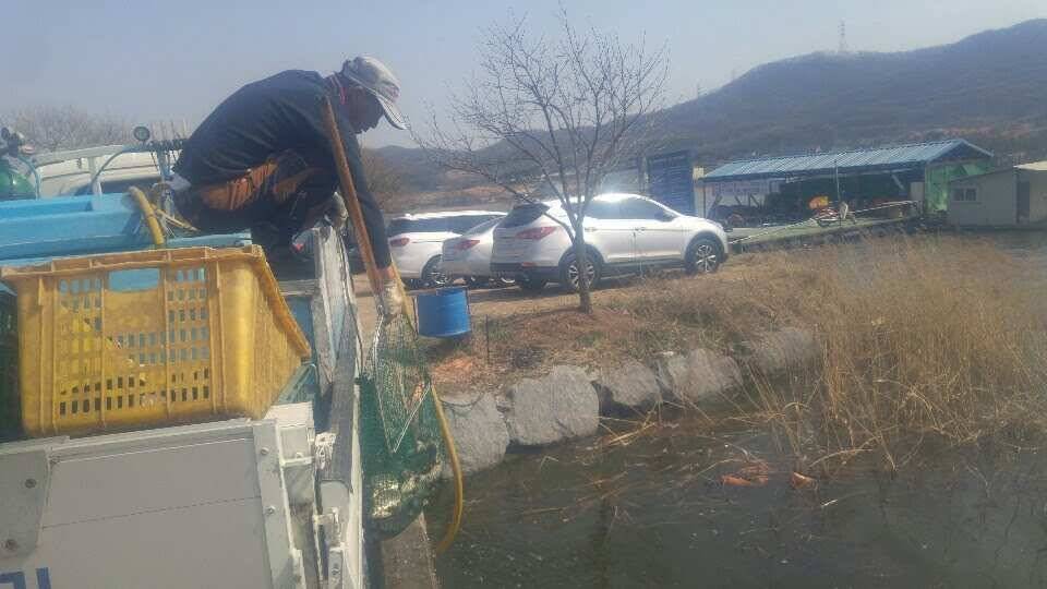 아산 안골지 조황정보입니다 (유료터정보 - 유료터점주조황)