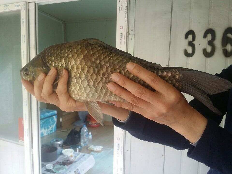 송전지서울집4월18일조황 (유료터정보 - 유료터점주조황)