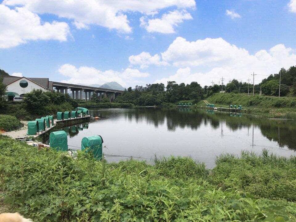 경주 삼괴정낚시터 530일 이번주 조황상황 및 홍보입니다 (유료터정보 - 유료터점주조황)