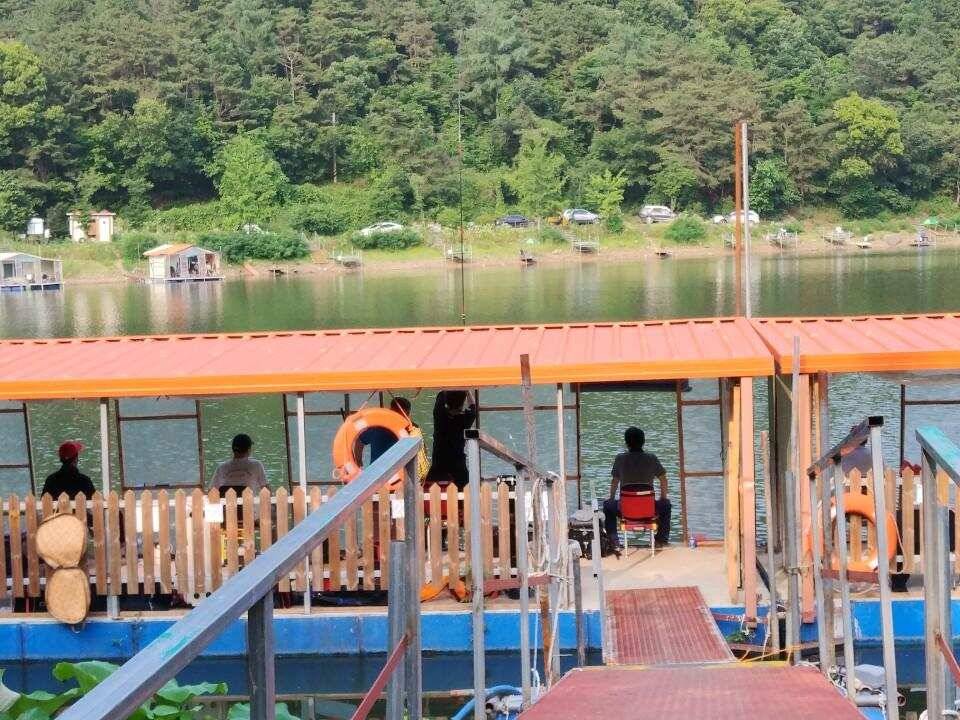피서 여름낚시 힐링 수곡낚시터 금요일토요일 조황소식 입니다 (유료터정보 - 유료터점주조황)