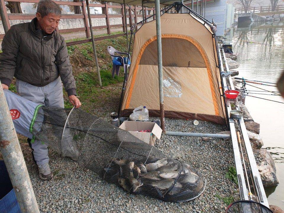 11 월 24일 안성 거청낚시터 조황 (유료터정보 - 유료터점주조황)